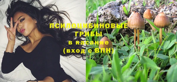 альфа пвп Богданович