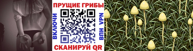 Купить  Верхний Уфалей  Псилоцибиновые грибы Magic Shrooms 