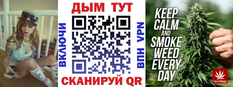 Купить закладки  Верхний Уфалей  Бошки марихуана THC 21% 